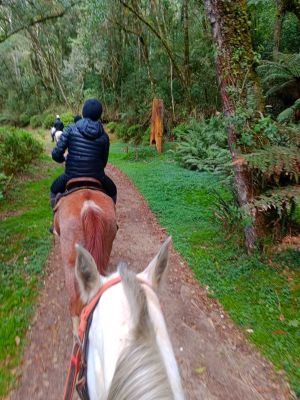 Equestre Volta do Umuarama