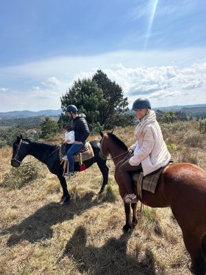 Equestre Pôr do Sol